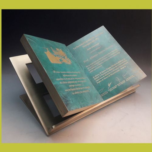 Libro Bronce