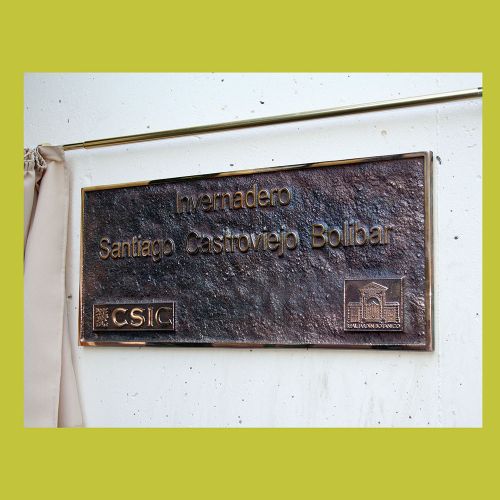 Placa Inauguración Bronce