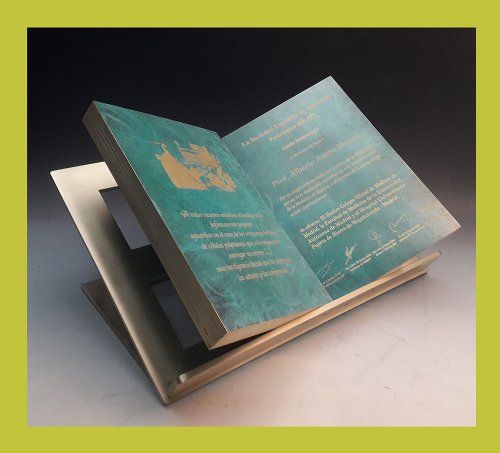 Libro Bronce